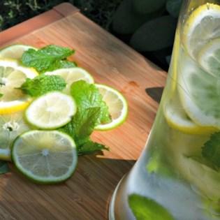 mint-citrus-water.html