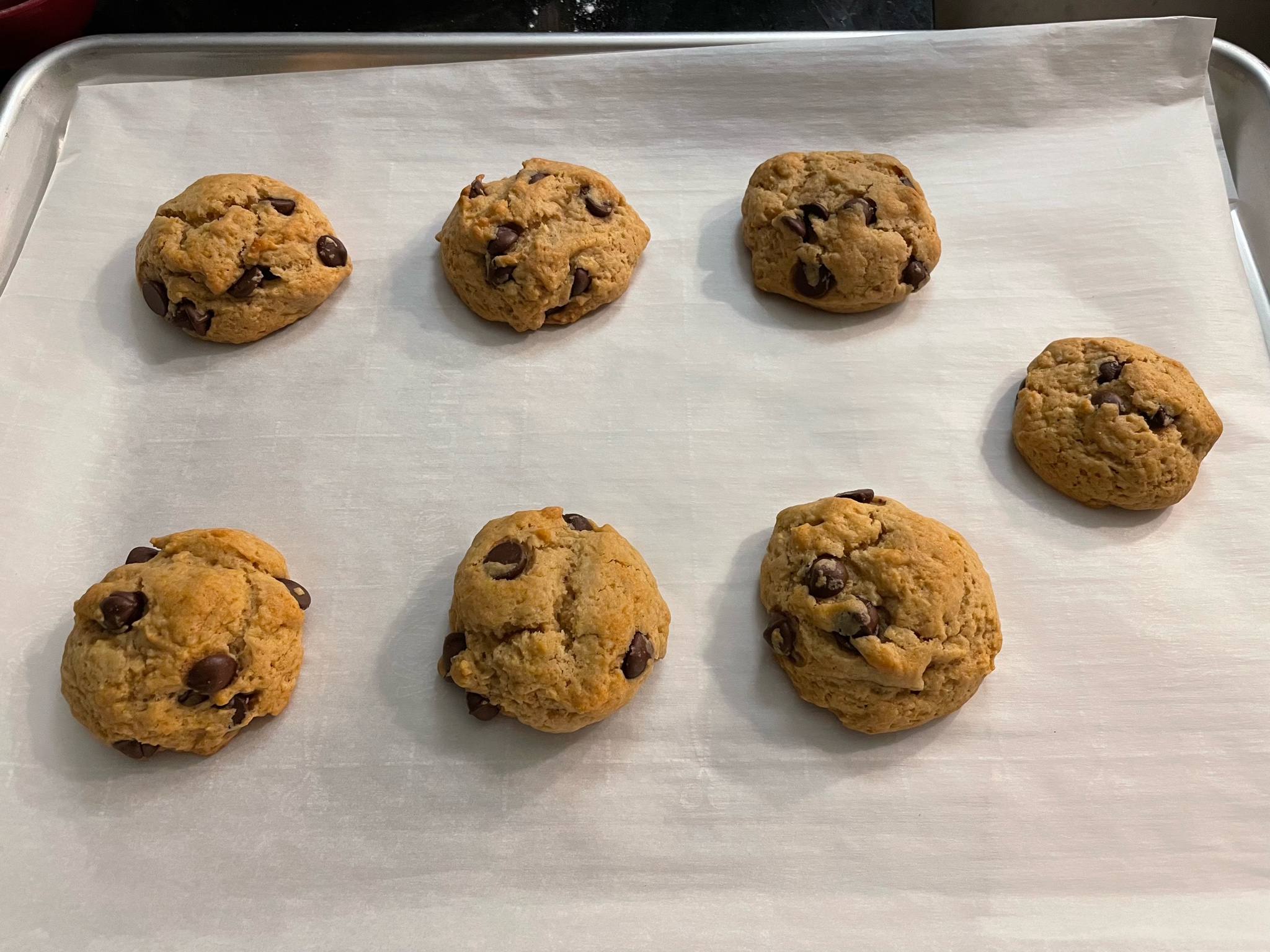 High Altitude Chocolate Chip Cookies | Chris F. Nicholson