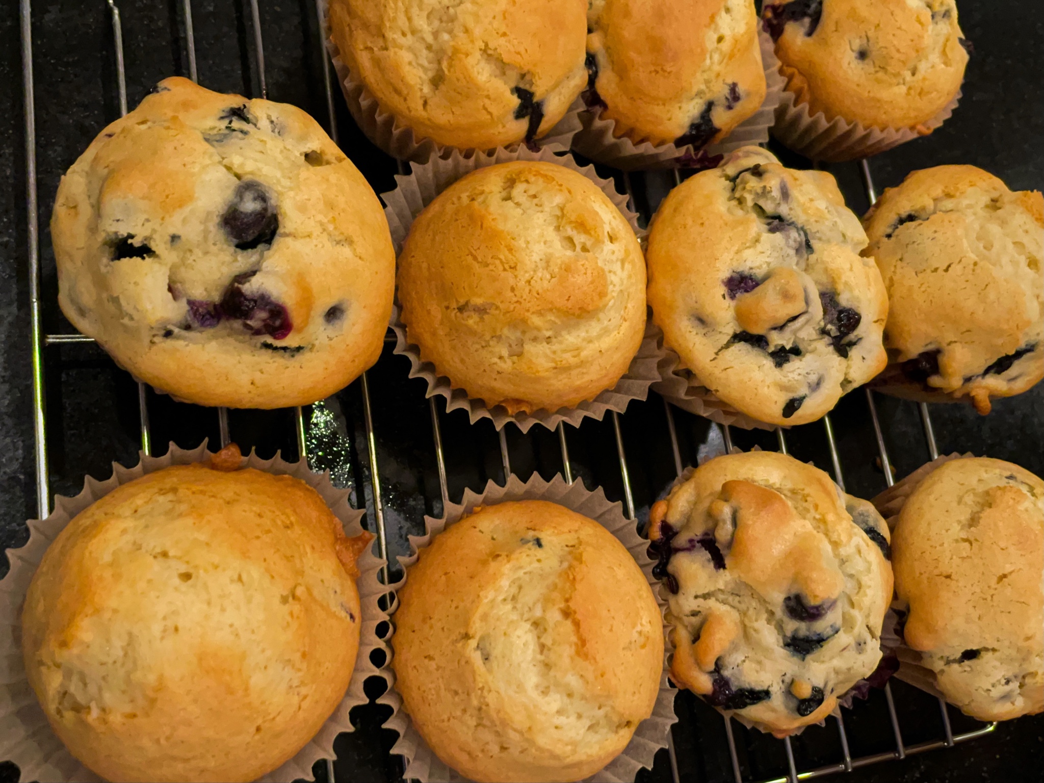 Jordan Marsh’s Blueberry Muffins | Chris F. Nicholson
