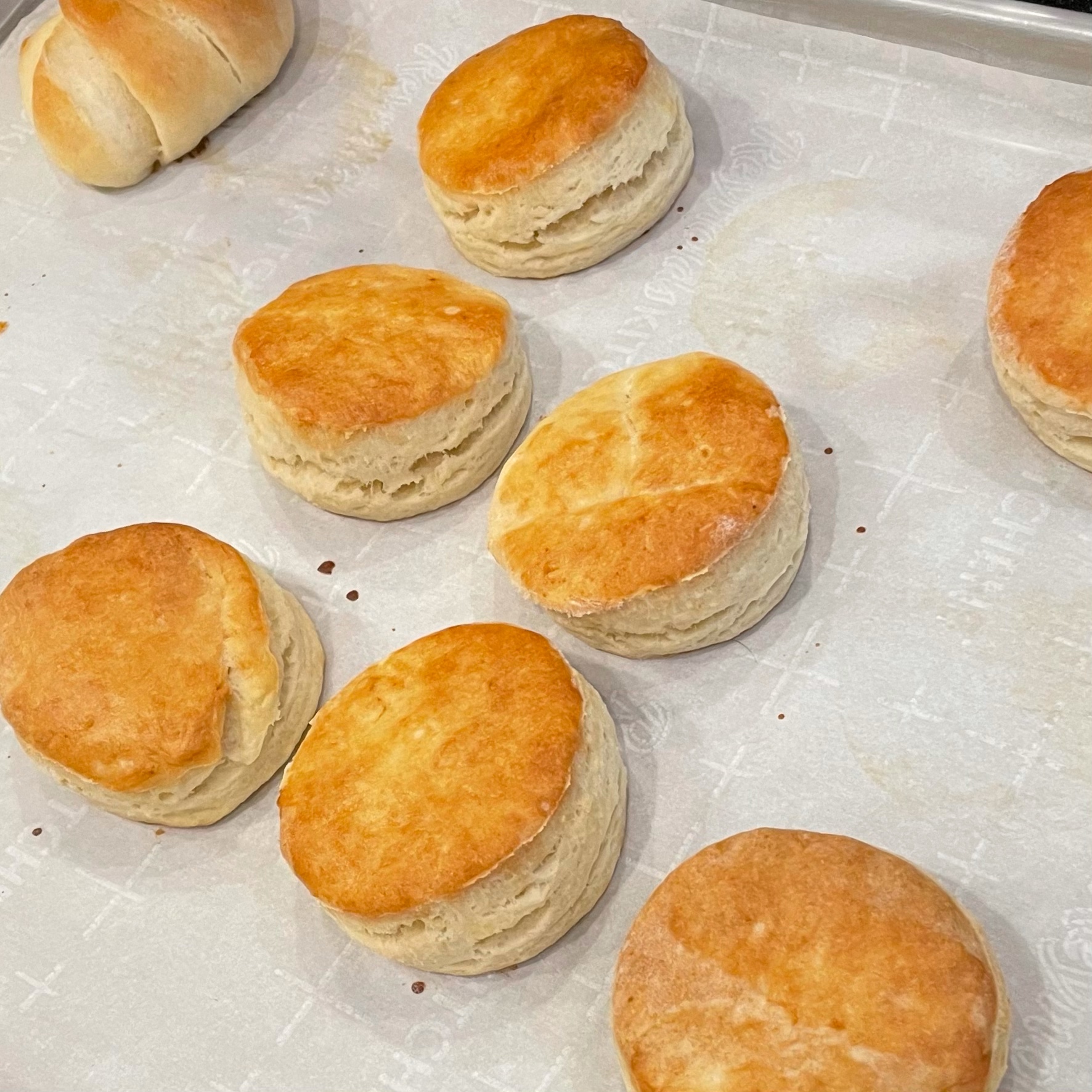 Baking Powder Biscuits | Chris F. Nicholson